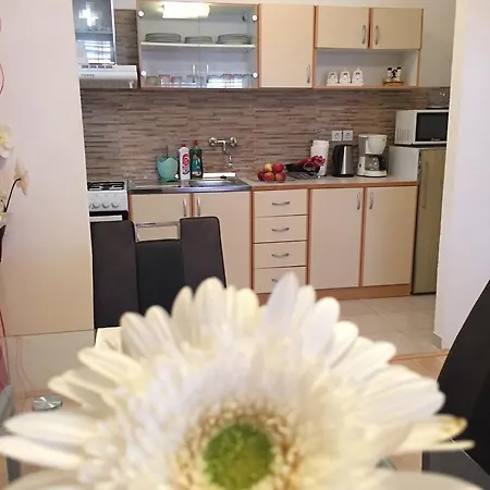 Stakic * קרוואביצה